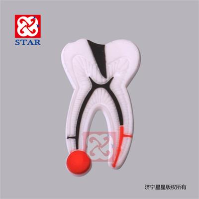 塑料牙齿ZYR3006